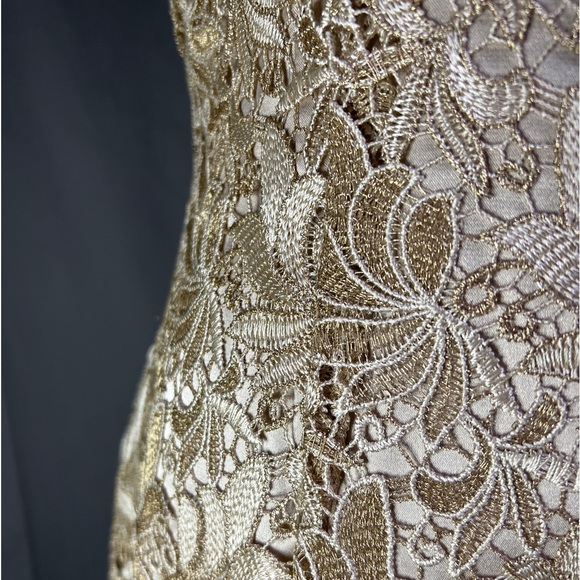 Tahari by Arthur S. Levine Gold Embroidered Evening Gown Size 8 Mermaid Lace - Picture 11 of 14